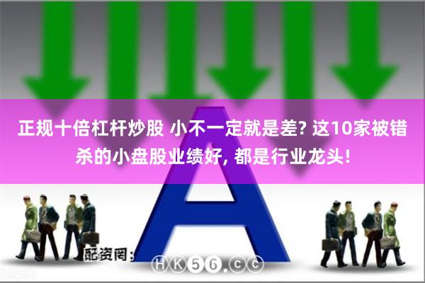 正规十倍杠杆炒股 小不一定就是差? 这10家被错杀的小盘股业